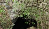 Randonnée Marche Le Revest-les-Eaux - Boucle: La ripelle - Source de la ripelle - Le Chateau de Tourris - Les grottes de sable - La carrière aux fourmis - Les puits renovés de M. Lambicchi - Les ruines des Olivières - La ferme de la Touravelle - à Le Revest-les-Eaux - Photo 18