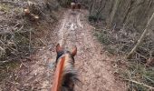 Trail Horseback riding Saint-Germain-au-Mont-d'Or - confirme avec Karine  - Photo 1