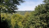 Tocht Stappen Vresse-sur-Semois - Balade à Chairière - Vresse sur Semois - Photo 2