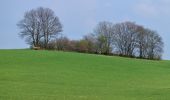 Tour Zu Fuß Mistelgau - Mistelgau Rundwanderweg 