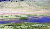 Trail On foot Norcia - Forca di Presta/Rifugio Colle le Cese (GAS) - Photo 3