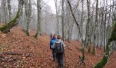 Percorso Marcia Soultz-Haut-Rhin - grand ballon pat - Photo 6