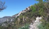 Excursión Senderismo Saint-Jean-de-Buèges - Vallée de la Bueges  - Photo 15