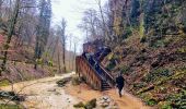 Tocht Stappen Junglinster - Itinérant Luxembourg Jour 3: Graulinster- Echternach - Photo 5