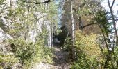 Randonnée Marche Die - Ausson - Montagne de Gavet (Diois) - Photo 8