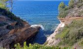 Trail Walking Patrimonio - sentier du littoral de St Florent à Punta di Saeta - Photo 11