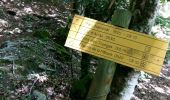 Tour Laufen Etsaut - ETSAUT Chemin de la mâture col d Arras - Photo 5