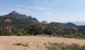 Tour Wandern Saint-Raphaël - Le drapeau - Photo 13