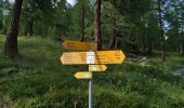 Tour Zu Fuß Ferden - Lötschentaler Höhenwanderweg - Photo 8