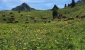 Excursión Senderismo La Plagne-Tarentaise - La grande Rochette - Photo 10