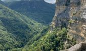 Trail Walking Plateau d'Hauteville - Hauteville  - Photo 10