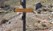 Randonnée Marche Gap - cretes de charance - Photo 1