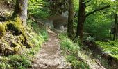Trail Walking Ouhans - RANDONNEE A LA SOURCE DE LA LOUE - Photo 12