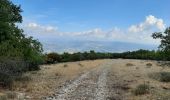 Tour Wandern Vitrolles-en-Luberon - vitrolles en Lubéron. aire des mascas - Photo 2