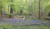 Trail Walking Fleurus - Deux abbayes  - Photo 2