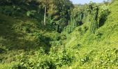 Excursión Senderismo Le Morne-Rouge - Domaine de la vallée via Hbt Pecoul - Photo 17