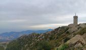 Trail Walking Collioure - madeloc depuis col de la serra, via col de villauria, batterie 500, retour  - Photo 3