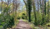 Trail Walking Liège - angleur gare . sart tilman via bois St Laurent.retour via bois St jean - Photo 16