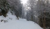 Trail Walking Proveysieux - Proveyzieux- Col de la Charmette - Photo 1