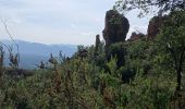 Tour Zu Fuß La Motte - Massif de la Colle du Rouet 25-09-2024 - Photo 7