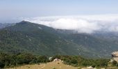 Randonnée Marche Banyuls-sur-Mer - PuigSallfort_T - Photo 6