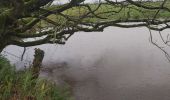 Trail Walking Cormeilles - cormeilles - Photo 6