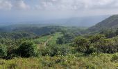 Tocht Stappen L'Ajoupa-Bouillon - Refuge Aileron - Gorges de La Falaise - Photo 13