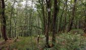 Trail Walking Vresse-sur-Semois - Laforet 080621 - Photo 3