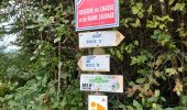 Trail Walking Bretonvillers - rando gigot  - Photo 3