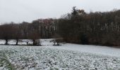 Excursión Senderismo Neupré - Roche aux Faucons - Boucle de l'Ourthe  - Photo 10