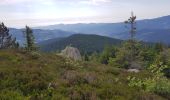 Tocht Stappen Le Valtin - tanet lac vert le col du tanet - Photo 9