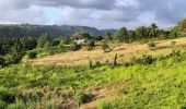 Randonnée Marche Le Lorrain - Boucle Vallon - Morne-Bois - Seguineau - Photo 15