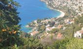 Trail Walking Roquebrune-Cap-Martin - CG06 château de Roquebrune - Photo 3