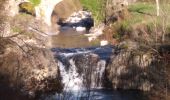 Trail Walking Burzet - Burzet (Myrtille) - Photo 1