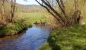 Tour Zu Fuß Flörsbachtal - Ortswanderweg Flörsbachtal 6 - Photo 2