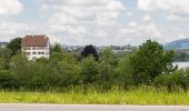 Tocht Te voet Mauensee - Schloss Mauensee - Seewagen - Photo 1