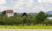 Tour Zu Fuß Mauensee - Schloss Mauensee - Seewagen - Photo 1