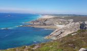 Trail Walking Crozon - FINISTÈRE-  CAP de la CHÈVRE  - Photo 19