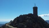 Trail Walking Collioure - Tour de Madeloc par les cols 15 km 741 m D+ - Photo 8