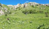 Tour Wandern Roubion - Vignols et Mt Gravieres par Roubion - Photo 3