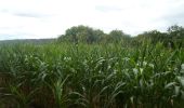 Tour Wandern Elbeuf-sur-Andelle - 20220823-Elbeuf sur Andelle  - Photo 15