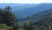 Tour Wandern Wegscheid - FucksfelsenBelacker - Photo 9