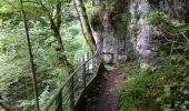 Tour Wandern Saint-Christophe - 38 st Christophe sur guiers grottes guiers vif - Photo 1