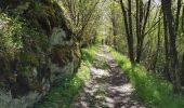 Tocht Stappen Rocamadour - RA 2019 Lot Tour de Rocamadour  - Photo 2