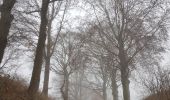 Trail Walking Voeren - 2021-10-13_17h01m13_fouron-le-comte - Photo 6