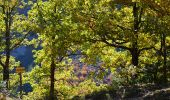 Trail Walking Castellane - Castellane - Chapelle St Thyrs - Petit Robion - Sommet Robion - Gorges du Rayaup - Photo 12