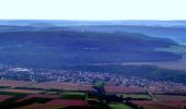 Tour Zu Fuß Sankt Katharinen - Klosterweg - Photo 4