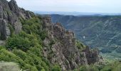 Tour Wandern Valgorge - Le Tanargue - Photo 10