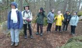 Trail Walking Fontainebleau - carrefour de Vienne 10 mars 2023  - Photo 9