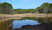 Trail Walking Puget-sur-Argens - Puget-sur-Argens - Les Terres Gastes - Photo 3